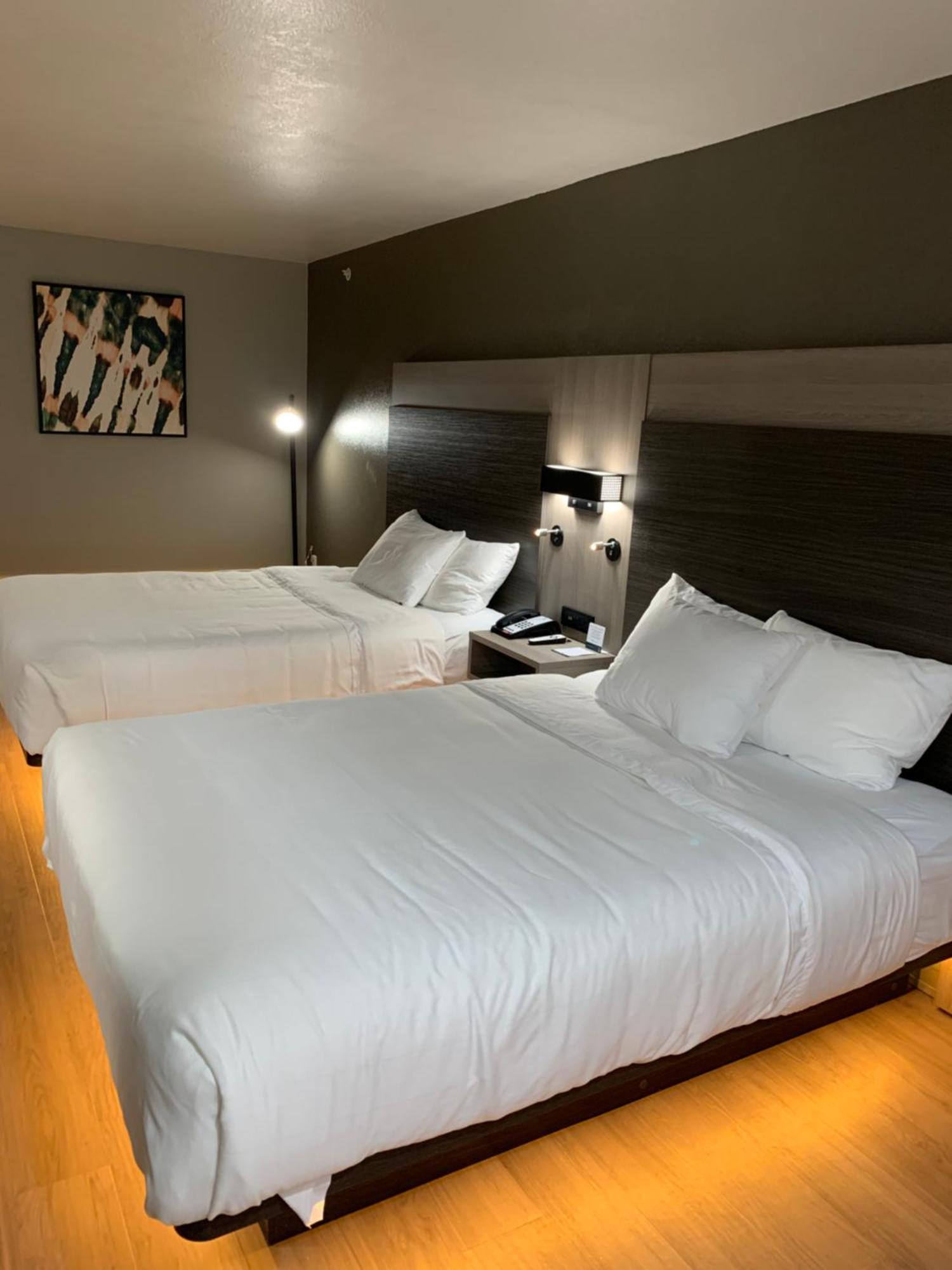 Quality Inn & Suites North Mesquite I-30 Oda fotoğraf